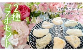 【 筑西市 ふるさと納税限定 コラボ 】 《 季節のお花アレンジメントS 》《 笑来餅 2個 セット（白2個） 》 アレンジメント 生花 ギフト プレゼント 誕生日 記念日 敬老 餅 もち もち米 [ZZ047ci]