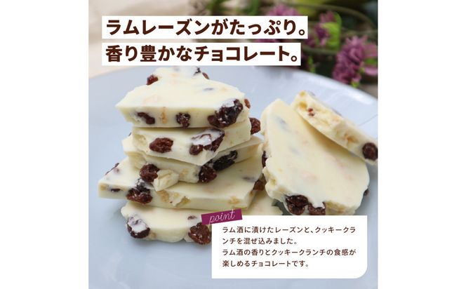 割れチョコ 妖艶なラムレーズン450g 242161_CR009