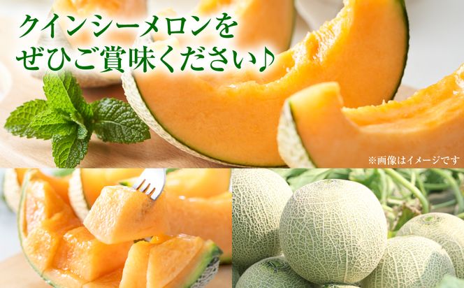 【先行予約】産地直送 クインシーメロン 2玉 約3kg クインシー メロン めろん 赤肉メロン 赤肉 果物 くだもの フルーツ デザート 贈り物 国産 熊本県 八代市【2026年5月下旬より順次発送】