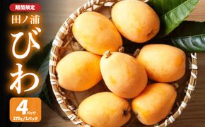 【C07014】【期間限定】田ノ浦びわ 約1.08kg（270g×4パック）