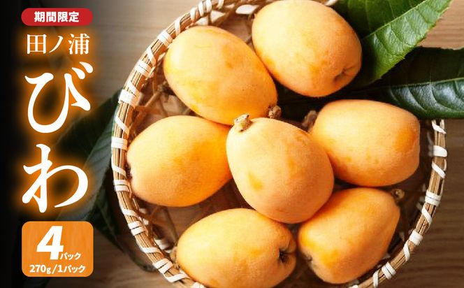 【C07014】【期間限定】田ノ浦びわ 約1.08kg（270g×4パック）