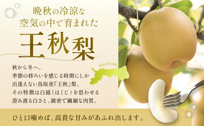 【先行予約】岸田秀果園 王秋 (ギフト用)5kg 313726_CY016
