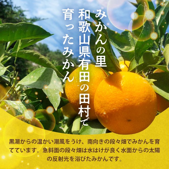 H6004n_【2026年先行予約】天の恵み 温州みかん 大玉5kg【ミカン 蜜柑 柑橘 温州みかん 和歌山】