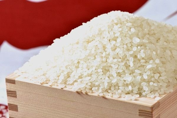 ５ｋｇのお品が新登場！！ パンダが目印！ イチオシブレンド マイマイ米5kg 冷めても美味しい こだわり もちもち お弁当 おにぎり あいちのかおり ミルキークィーン H017-117