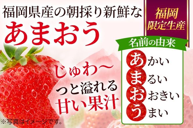 【先行受付】農家直送 朝採り新鮮いちご【博多あまおう】＜12月より順次発送＞ 約270g×4パック 福岡県産 苺 イチゴ 朝採れ 冷蔵 スイーツ ジュース ギフト プレゼント お土産 九州 福岡土産 ※北海道・沖縄・離島は配送不可