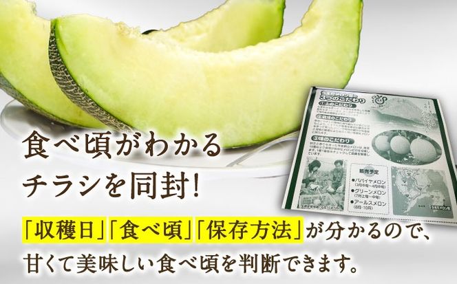 【2026年7月上旬〜発送】【平成新山メロンPREMIUM（とみちゃん厳選）】グリーンメロン 2玉 / メロン めろん 果物 フルーツ / 南島原市 / うえだメロン園 [SAD003] 