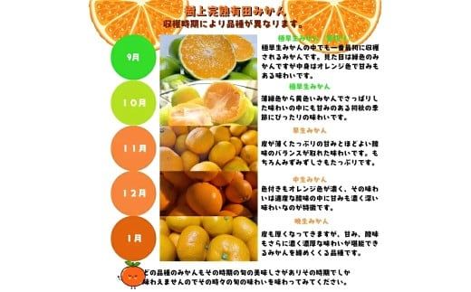 【2026年10月中旬～11月中旬頃に順次発送予定】有田育ちの完熟有田みかん 家庭用 サイズ混合(2S～2L)　約5.2kg(5kg+200g)(傷み補償分) 【ard186D-10】