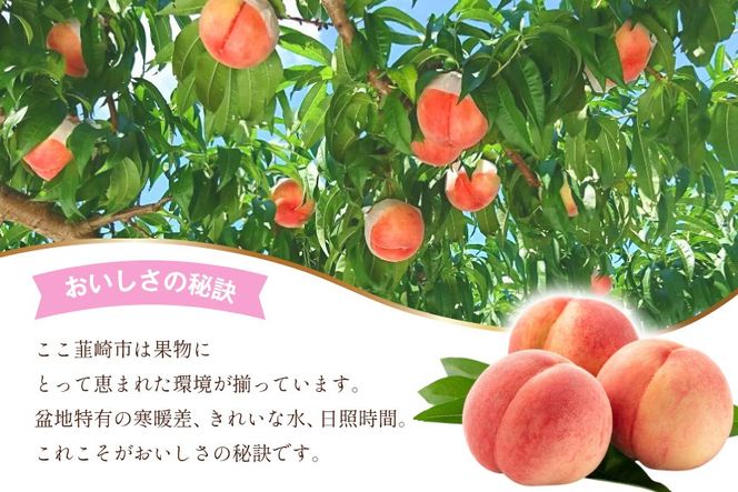 【2026年発送】桃 訳あり もも 白鳳 or 白桃 4号 約3.3kg(9～12玉) モモ 果物 フルーツ 山梨 期間限定 季節限定 冷蔵 農福連携 [斎庵 山梨県 韮崎市 20745278]