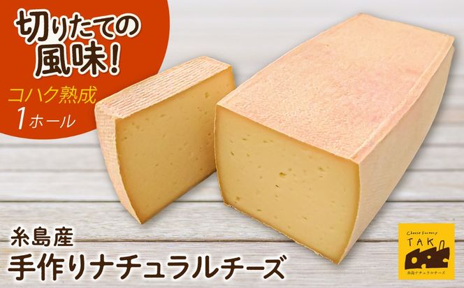 【糸島産生乳100％使用の手作りチーズ】コハク熟成 1ホール 糸島市 / 糸島ナチュラルチーズ製造所TAK-タック- [AYC011] チーズ おつまみ 乳製品 ギフト 贈答 贈り物 手づくり 生乳 プレゼント