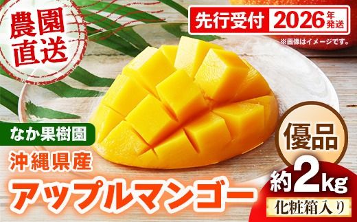 【化粧箱入り】【先行受付・2026年発送】なか果樹園 アップルマンゴー 優品 約2kg - 産地直送 先行予約 沖縄県産 贈り物 ギフト プレゼント 南国フルーツ 旬の味覚 オススメ 沖縄県 八重瀬町