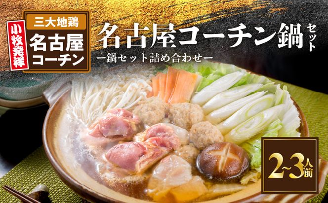 名古屋コーチン鍋セット 日本三大地鶏 鍋セット 鶏肉 もも肉 肉団子 鍋料理[001T07]