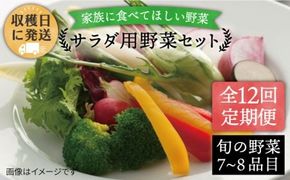 【 全12回 定期便 】 【 福岡県 糸島産 】 朝採れ サラダ用 野菜 セット 《糸島》【オーガニックナガミツファーム】 	[AGE011]