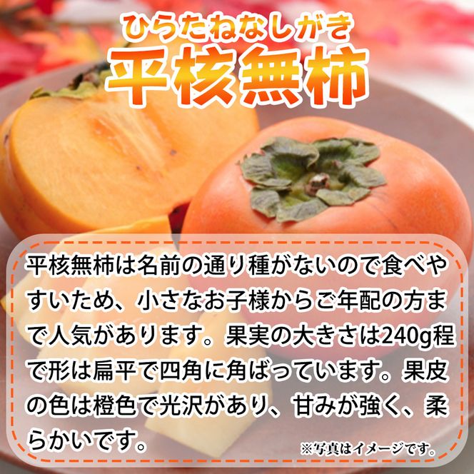 G7109_和歌山秋の味覚 平核無柿（ひらたねなしがき）約2kg 化粧箱入	