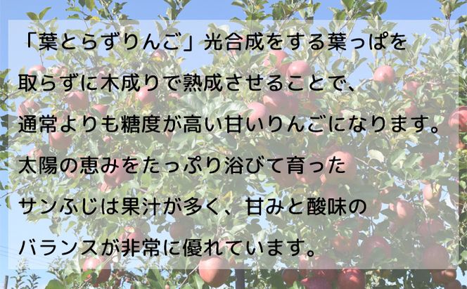 糖度13度以上 ヒバリノ園 【 紅虎 】 あどはだり 葉とらず サンふじ 約 5kg （14～18玉）青森県鰺ヶ沢町産りんご 果物類 フルーツ ※オンライン決済のみ 
