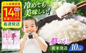 【令和7年度産 新米！】福岡県産米 夢つくし10kg(5kgx2袋) 精米《築上町》【有限会社ファインリョーコク】[ABCO024]