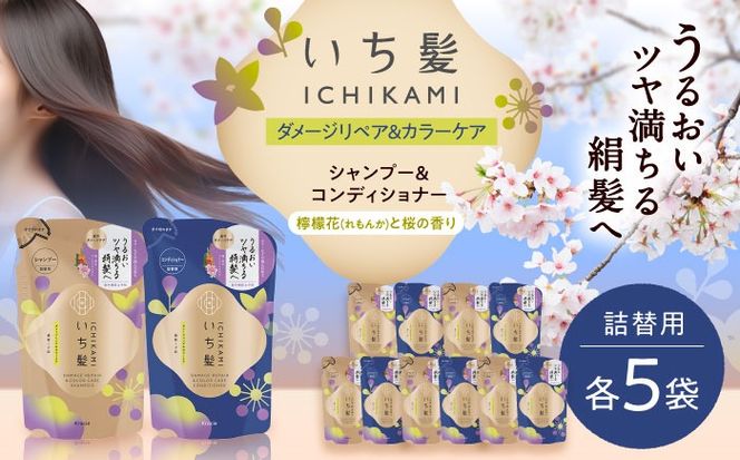 いち髪 ダメージリペア＆カラーケア シャンプー＆コンディショナー 詰替用 各5袋セット 日用品 シャンプー 大容量 愛西市 / クラシエホームプロダクツ 【配送不可：離島】[AEBE004]