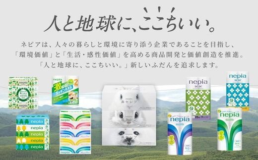 【定期便】2回発送 選べる発送間隔 ネピア激吸収キッチンタオル4ロール100カット×12パック | 日用品 消耗品 生活用品 ペーパータオル キッチンペーパー キッチン用品 厚手 ストック 吸水 防災 備蓄 まとめ買い 全国 発送 一人暮らし nepia ネピア