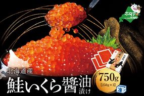 鉄板！漁協 いくら醤油漬け 750g！【NK0003NQ7】（野付漁業協同組合）（ いくら イクラ いくら醤油漬け イクラ醤油漬け いくら醤油漬 イクラ醤油漬 醤油 鮭いくら 鮭イクラ 鮭卵 ）