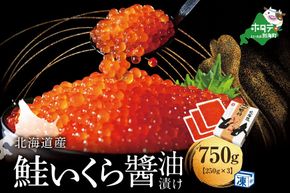 鉄板！漁協 いくら醤油漬け 750g！【NK0003NQ7】（野付漁業協同組合）（ いくら イクラ いくら醤油漬け イクラ醤油漬け いくら醤油漬 イクラ醤油漬 醤油 鮭いくら 鮭イクラ 鮭卵 ）