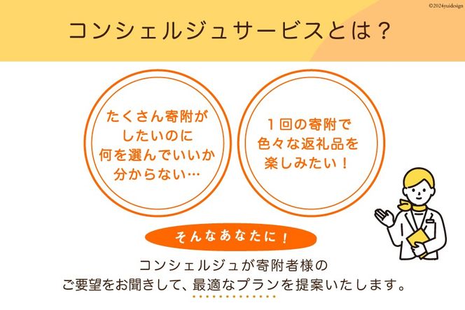 【あなただけの返礼品が届く】 コンシェルジュ サービス 寄附金額 50万円 オーダーメイド プラン [宮城県 気仙沼市 20561983]