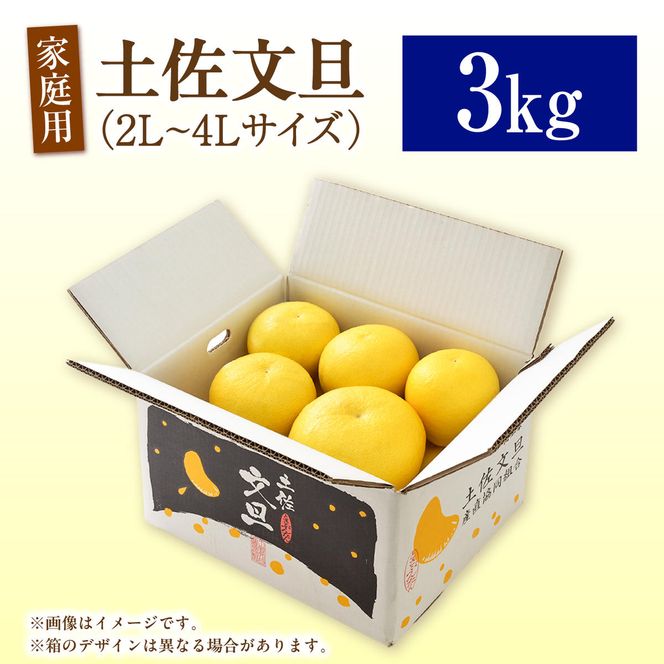 【先行予約】生産者直送 土佐文旦 約3kg [2L～4L] 家庭用 ＜2027年1月下旬より発送＞ 家庭用 文旦 柑橘 みかん フルーツ  果物  産地直送 お取り寄せ 人気  【土佐文旦産直協同組合】