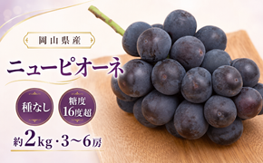 ぶどう 2026年 先行予約 ニュー ピオーネ 約2kg 3～6房 種無し ブドウ 葡萄  岡山県産 国産 フルーツ 果物 ギフト デザート 果実 美しい 大粒 高糖度 皮ごと 食べ応え 芳醇 甘い 果汁 食べやすい 大人気