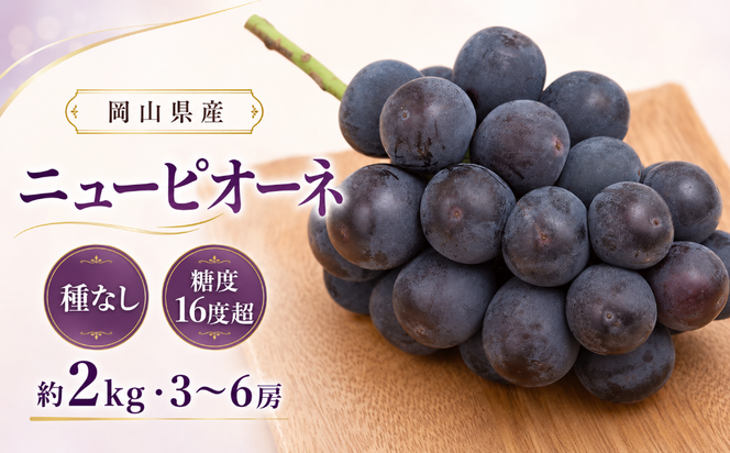 ぶどう 2026年 先行予約 ニュー ピオーネ 約2kg 3～6房 種無し ブドウ 葡萄  岡山県産 国産 フルーツ 果物 ギフト デザート 果実 美しい 大粒 高糖度 皮ごと 食べ応え 芳醇 甘い 果汁 食べやすい 大人気
