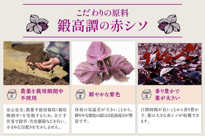 鍛高譚（たんたかたん）・鍛高譚の梅酒[720ml]【12本セット】