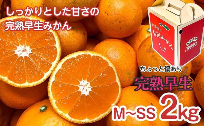 定期便 ちょっと 傷あり 2kg × 3回 コース 有田みかん 食べくらべ 3種 全3回 南泰園 BS820