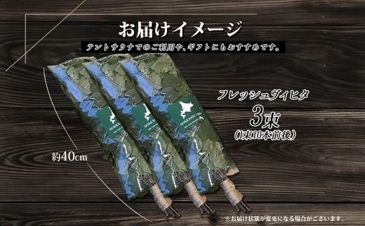 1511.フレッシュ 白樺 ヴィヒタ 3束 北海道 白樺 ヴィヒタ アロマ ウィスク インテリア サウナグッズ サウナ テントサウナ 北海道 弟子屈町