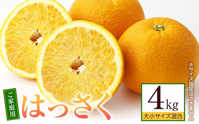 ご家庭用 はっさく約4kg 大小サイズ 混合   FB03