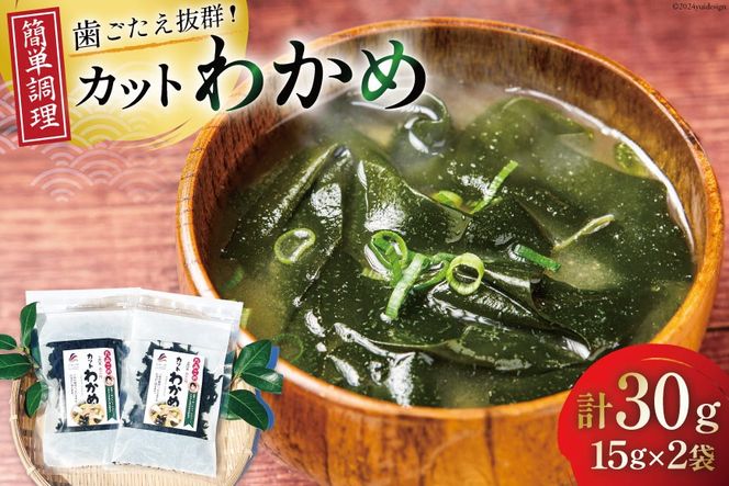 y{錧Oz Jbg 킩 15g ×2 v30g [݂̊CpbN {錧 O m304amh560069] Y O OY C J   X` ݂`