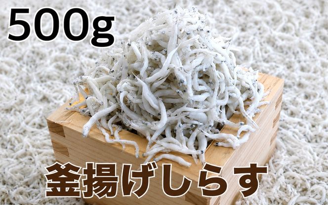 釜揚げしらす500g / シラス 厳選 小分け 冷蔵便【dig011A】