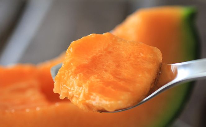 【2026年夏配送】黒こだまスイカ＋ふらのメロン 2kg以上 セット 北海道 富良野産 すいか 西瓜 メロン 夏 フルーツ ふらの 甘い 糖度 ギフト (畠山農園）