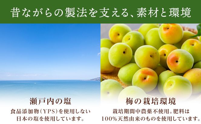 規格外品 無添加 栽培期間中農薬不使用 昔ながらの梅干し 紀州南高梅 塩のみで漬けたすっぱい梅干し 800g（400gパック×2個）塩分約23% 3年熟成品 N20-K ［KU8］ 303446_ED90007