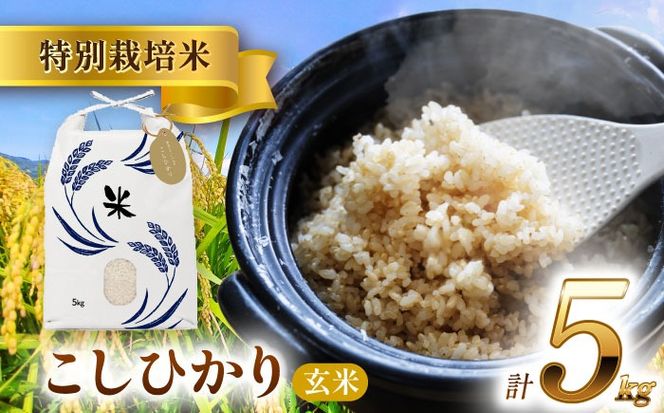 令和6年産　新米　愛知県産コシヒカリ　玄米5kg　特別栽培米　お米　ご飯／戸典オペレーター[AECT022]