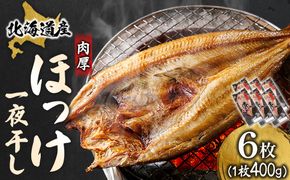 北海道産 ほっけ一夜干し（400～449g）×6枚 ｜ 釧路町の匠が贈る 北の至宝 ホッケ 干物 焼魚 焼き魚 白身魚 セット ひもの 魚干物 一人暮らし セット おかず 冷凍 スピード発送 すぐ届く 魚介類 海鮮 絶品 人気 ヒロセ すぐ発送 北海道 釧路町 釧路超 特産品