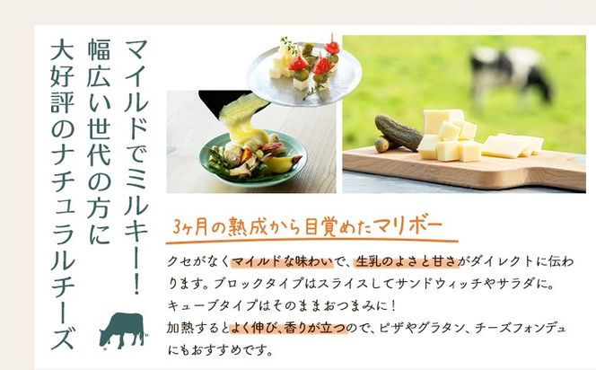 竹下牧場まるごとチーズセット【2400101】