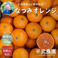 農家直送！なつみオレンジ 10kg 無選別≪秀品・訳あり品・サイズ混合≫【平武農園】～蛍飛ぶ町から旬の便り～ BX112