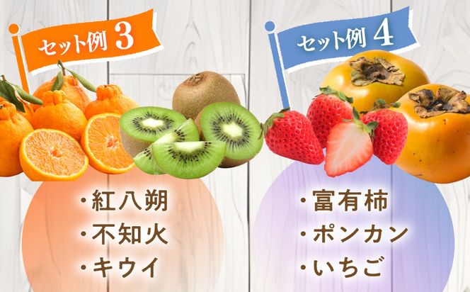 【3回定期便】季節の果物 詰め合わせ フルーツセット 旬の果物をお任せで2〜3品目お届け  / 果物 セット / 南島原市 / 吉岡青果[SCZ038]