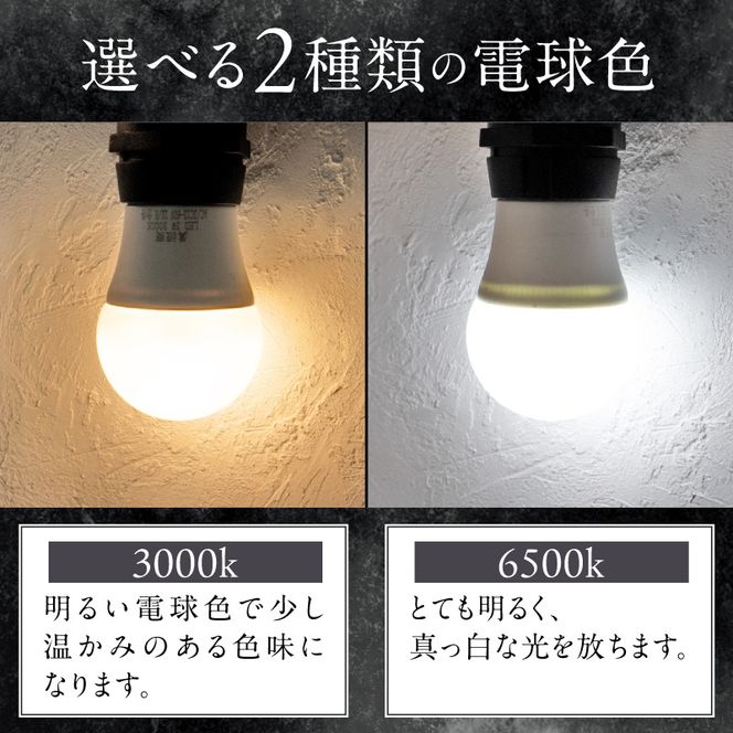 アウトドアに最適なストリングライト|Z042［172C11］アウトドア ストリングライト 選べる カラー Z042 キャンプライト 電球 ライト プラスチック 軽い 吊り下げ キャンプ 釣り 魚釣り キッチンカー イルミネーション マキタ でんらい 愛知県 小牧市 送料無料