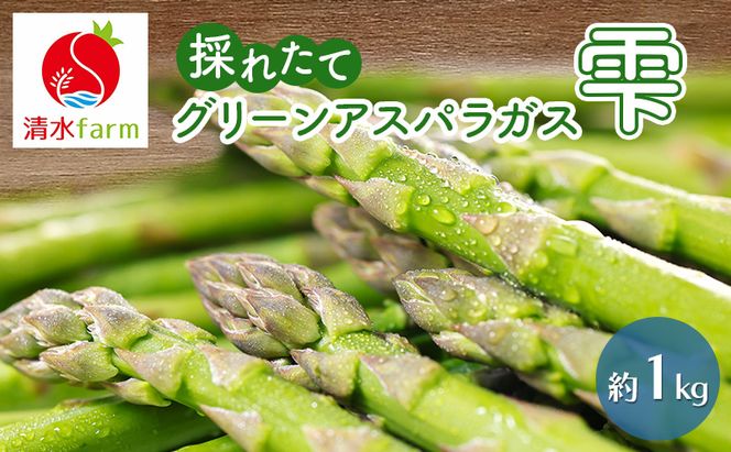 【2027年4月～発送】富良野産 採れたて直送! グリーンアスパラ 「雫」2L～Lサイズ【約1kg】 (清水farm) アスパラ アスパラガス 野菜 新鮮 季節限定 北海道 富良野 ふらの