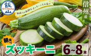 朝採り!! 新鮮ズッキーニ 約6～8本 《生産者直送》岸田農園 (Cd-001)