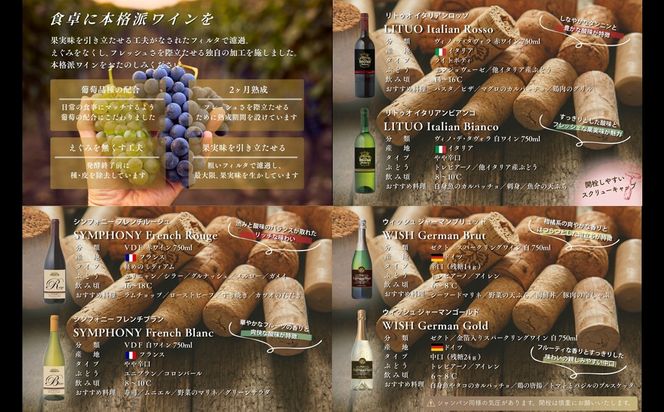 【C8-024】W104 伊・仏・独 6本セット