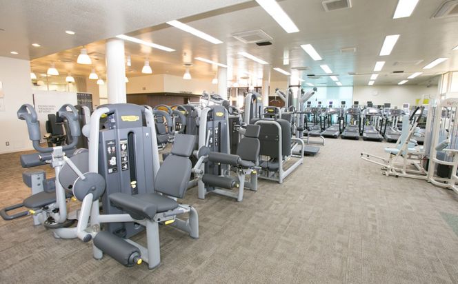 オリンピアスポーツクラブ　施設利用券 3ヵ月分