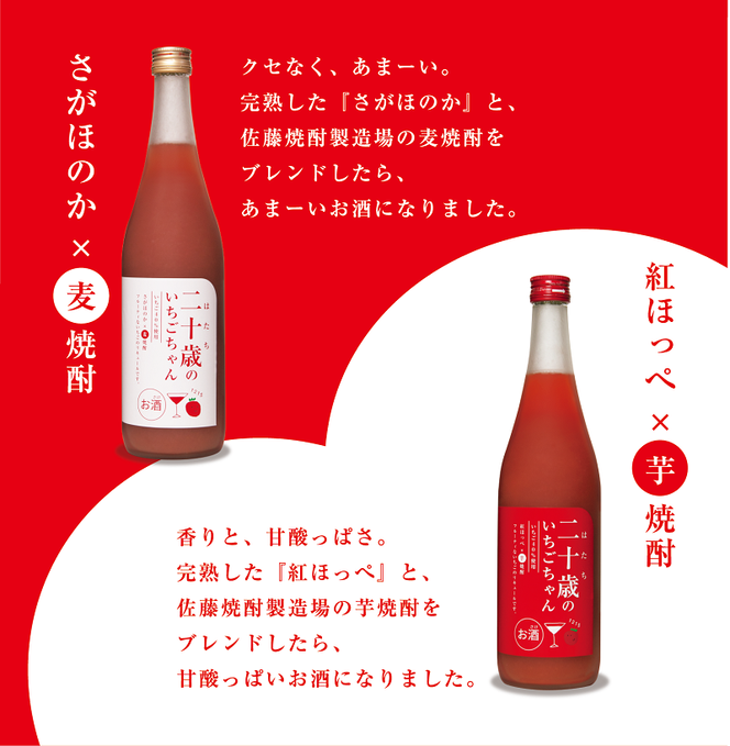 二十歳のいちごちゃん リキュール 飲み比べ 2本セット 贈答用 成人祝い　N085-YZA727