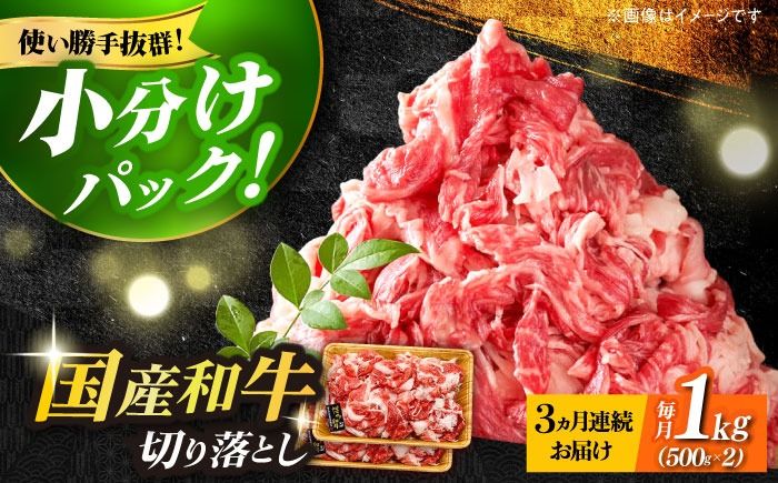 [全3回定期便][たっぷり大容量!]博多和牛 切り落とし 1000g(500g×2P)[築上町][株式会社MEAT PLUS][ABBP027]