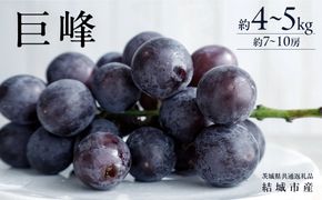 巨峰 約4～5kg 7〜10房 【2026年8月より発送開始】（茨城県共通返礼品 [ぶどう]：結城市産）田舎の頑固おやじが厳選！ ぶどう ブドウ 葡萄 高糖度 大粒 甘い 美味しい フルーツ [BI293-NT]
