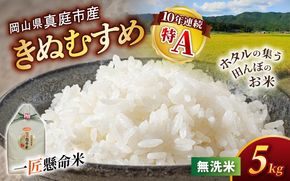令和8年産 真庭市産きぬむすめ 無洗米 5kg / お米 国産 岡山県 米 人気 ブランド 2026年産 【tkns007-02】