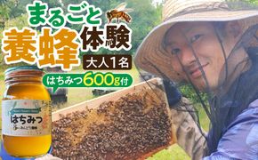 1282.【要予約 大人1名様用】あんどう養蜂 まるごと養蜂体験（約3時間）はちみつ600g付き 313726_BW019